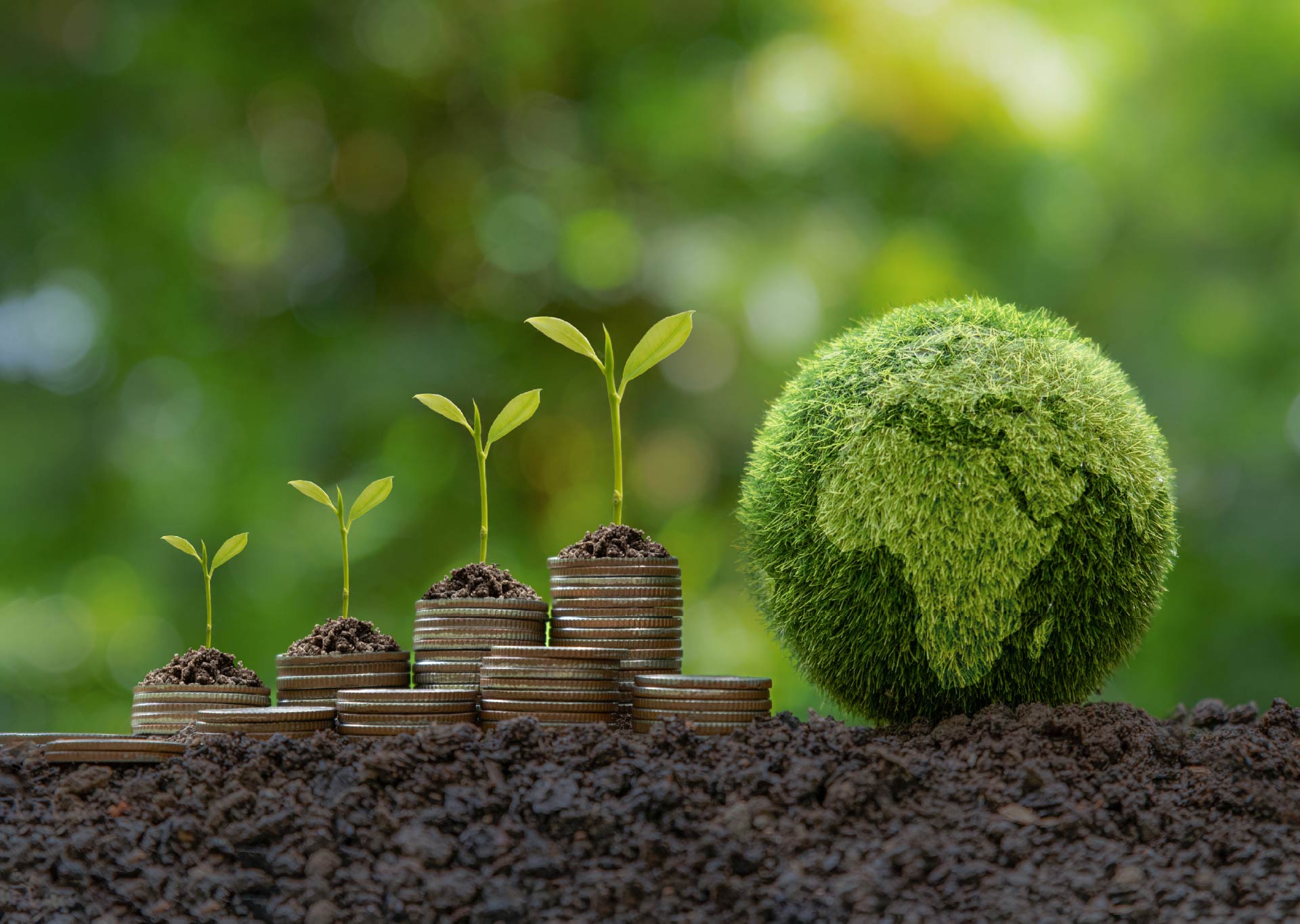 ESG e finanza sostenibile: come integrare la sostenibilità nei  Processi aziendali