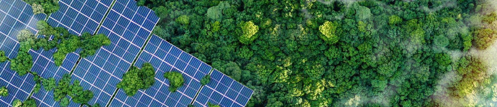 investimenti in generazione